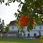 Bagolyvar Fogado- Ujfalusy Marton Vendeghaz *