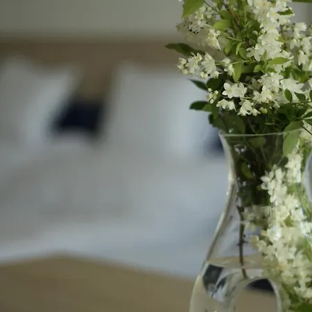 B&B Bagolyvar Fogado- Ujfalusy Marton Vendeghaz Zirc