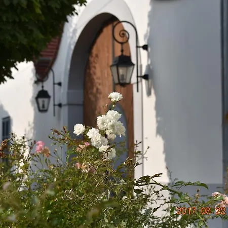 Bagolyvar Fogado- Ujfalusy Marton Vendeghaz Bed & Breakfast Zirc