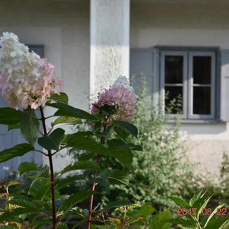 Bagolyvar Fogado- Ujfalusy Marton Vendeghaz *