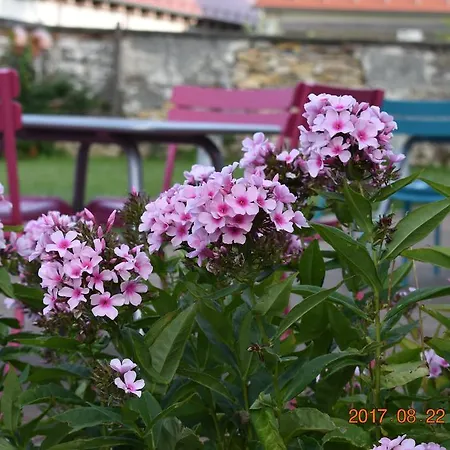 Bagolyvar Fogado- Ujfalusy Marton Vendeghaz Bed & Breakfast