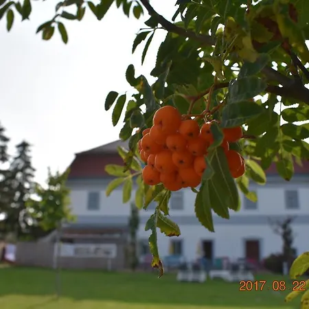 Bagolyvar Fogado- Ujfalusy Marton Vendeghaz *