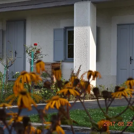 Bed & Breakfast Bagolyvar Fogado- Ujfalusy Marton Vendeghaz Zirc