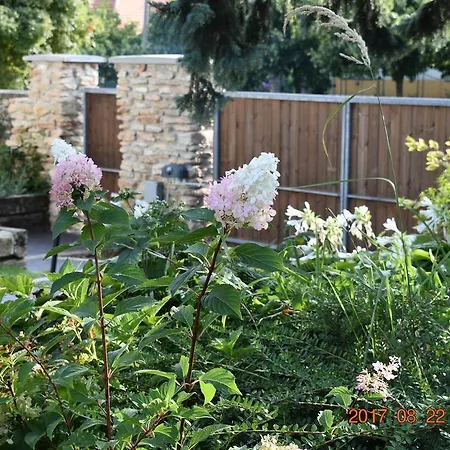 Bed & Breakfast Bagolyvar Fogado- Ujfalusy Marton Vendeghaz