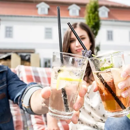 Bagolyvar Fogado- Ujfalusy Marton Vendeghaz Bed & Breakfast Zirc