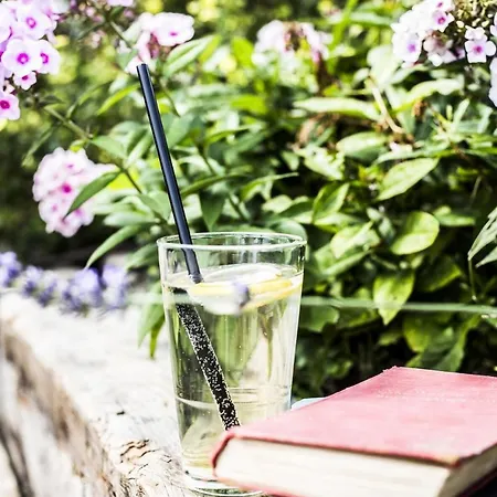 Bagolyvar Fogado- Ujfalusy Marton Vendeghaz * Zirc