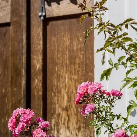 Bagolyvar Fogado- Ujfalusy Marton Vendeghaz * Zirc