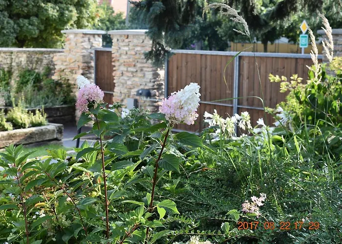 B&B Bagolyvar Fogado- Ujfalusy Marton Vendeghaz